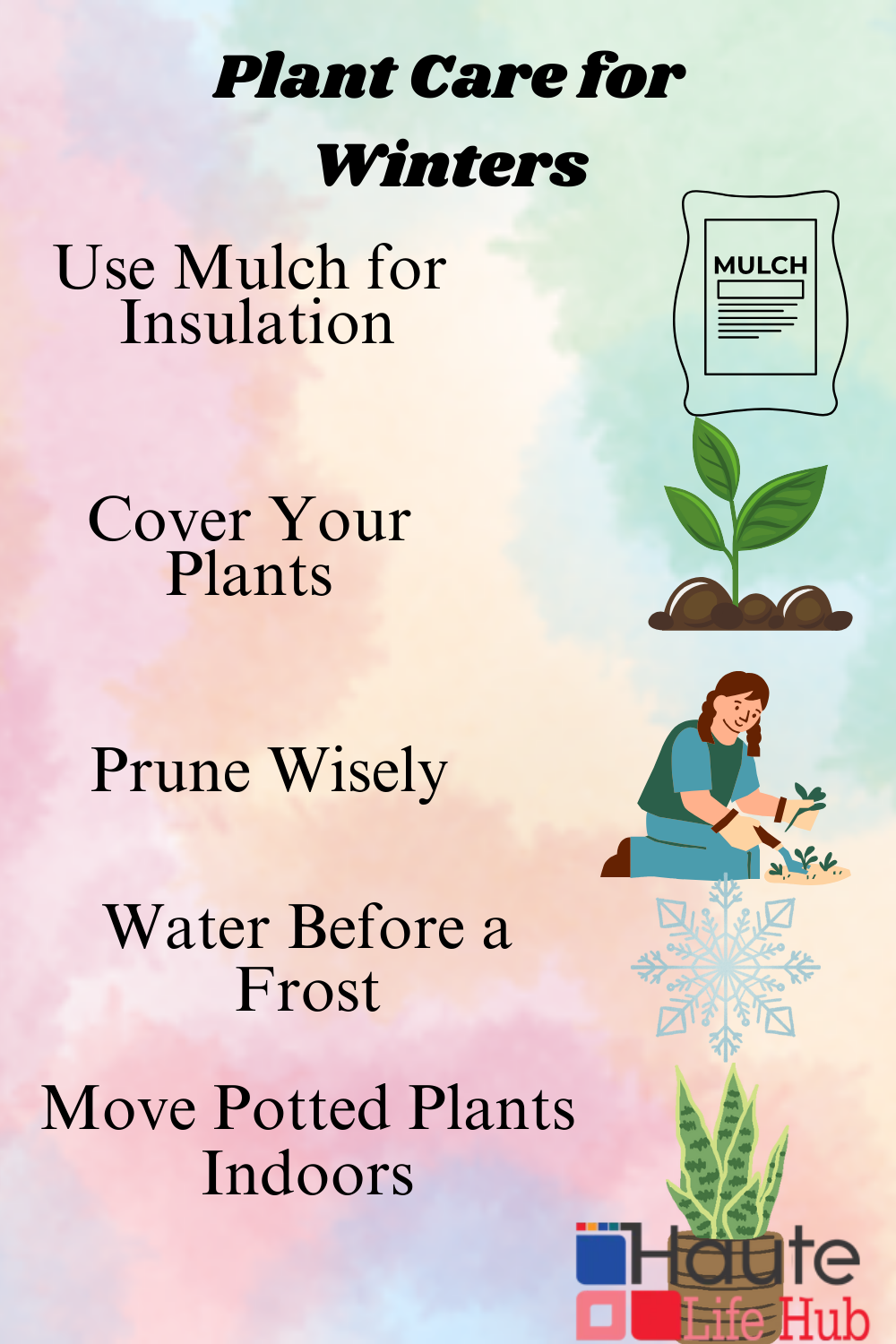 winter plant care 