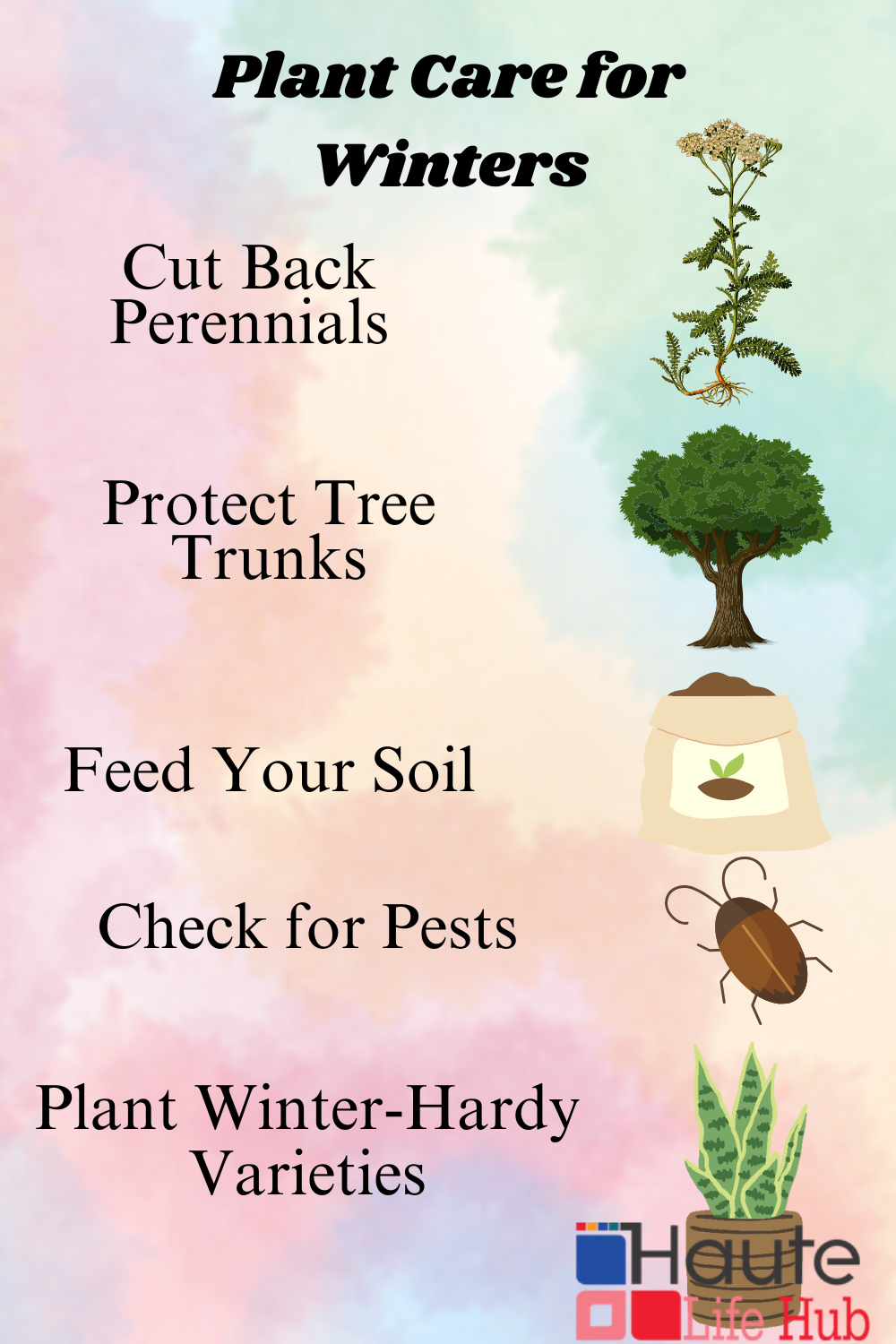 winter plant care